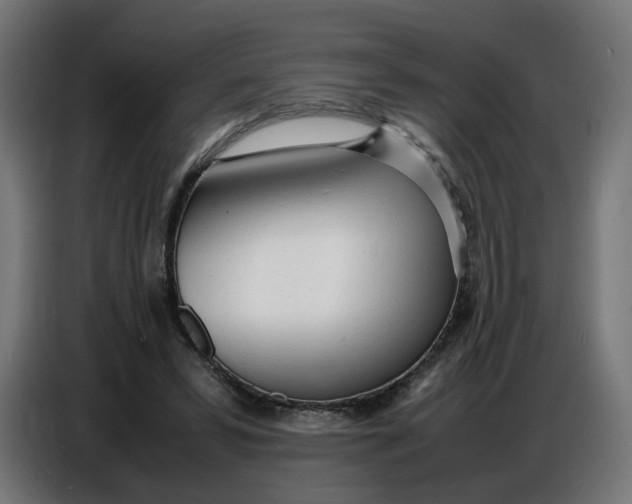 X0000086720399200705041332