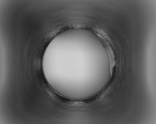 X0000086720401200705041332