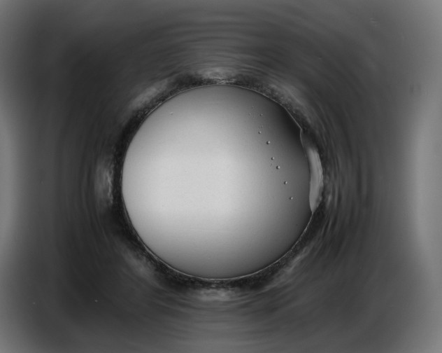 X0000086720404200705041332