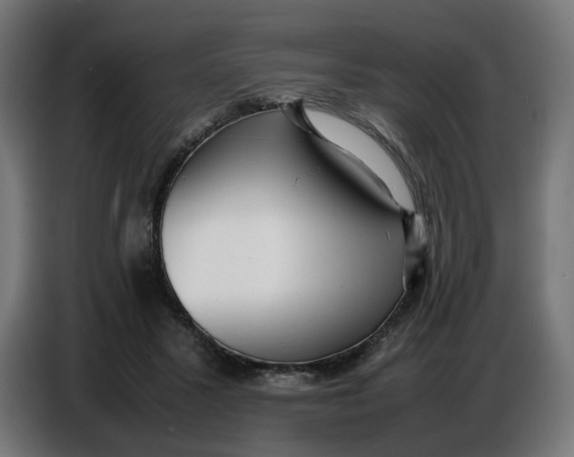 X0000086720407200705041331