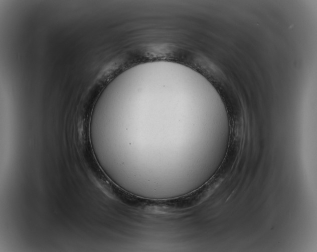 X0000086720408200705041331