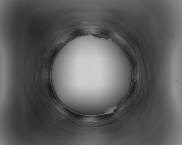 X0000086720409200705041331