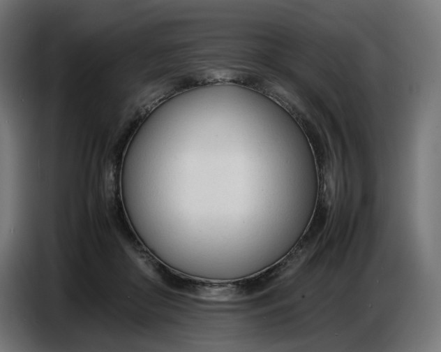 X0000086720410200705041331