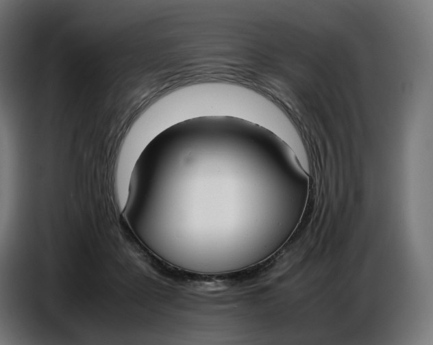 X0000086720411200705041331