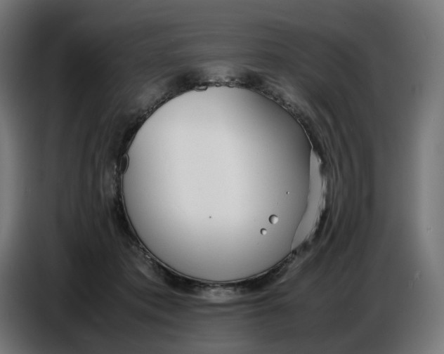 X0000086720413200705041331