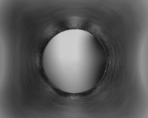 X0000086720416200705041331