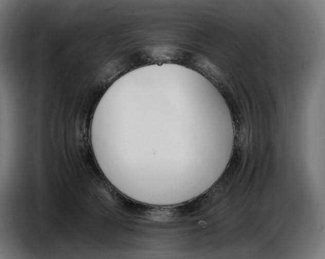 X0000086720418200705041331