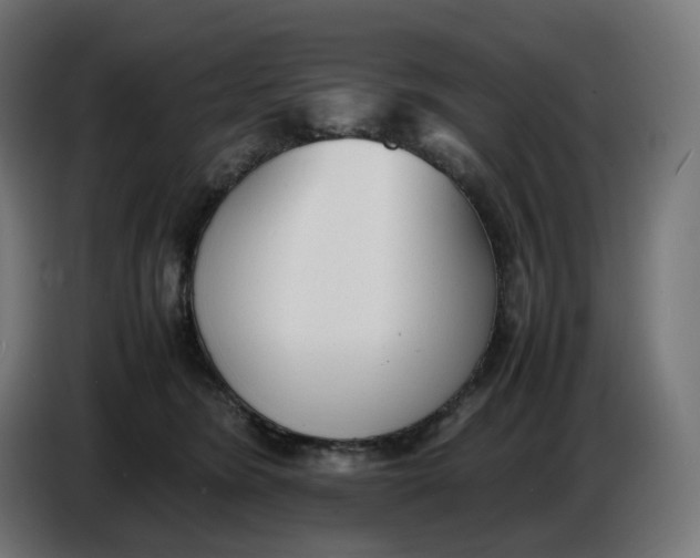 X0000086720420200705041331