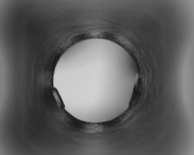 X0000086720421200705041331