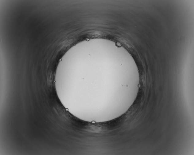 X0000086720423200705041331