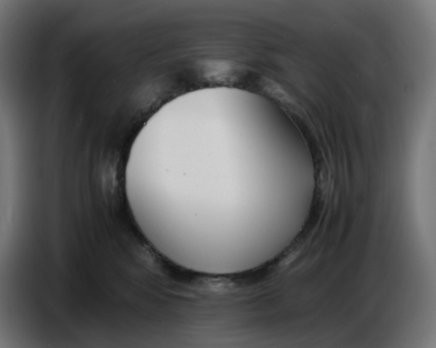 X0000086720424200705041331