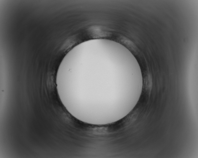 X0000086720426200705041331
