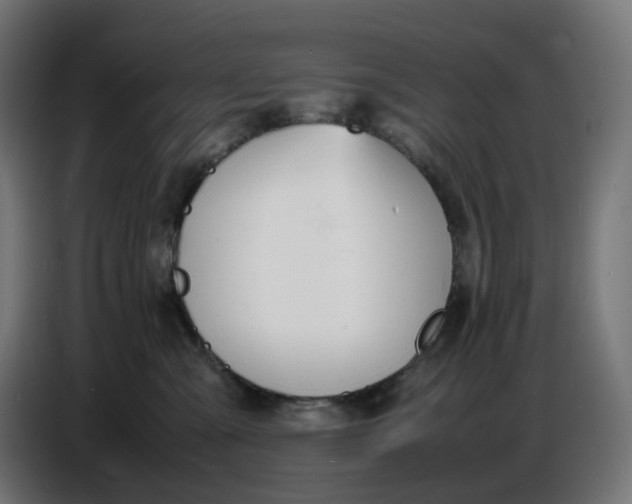 X0000086720427200705041331