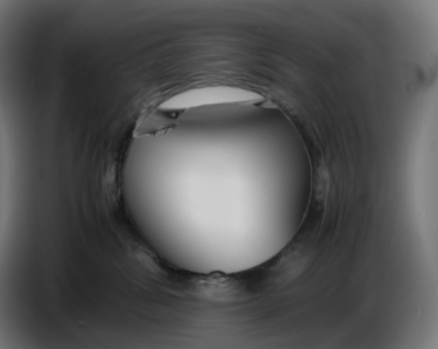X0000086720428200705041331