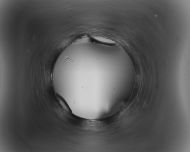 X0000086720429200705041331