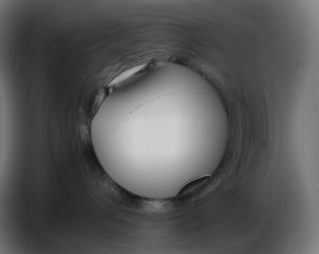 X0000086720432200705041331