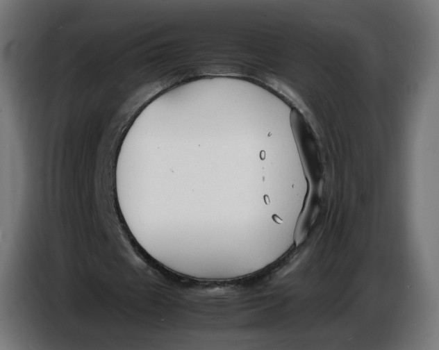 X0000086720433200705041331