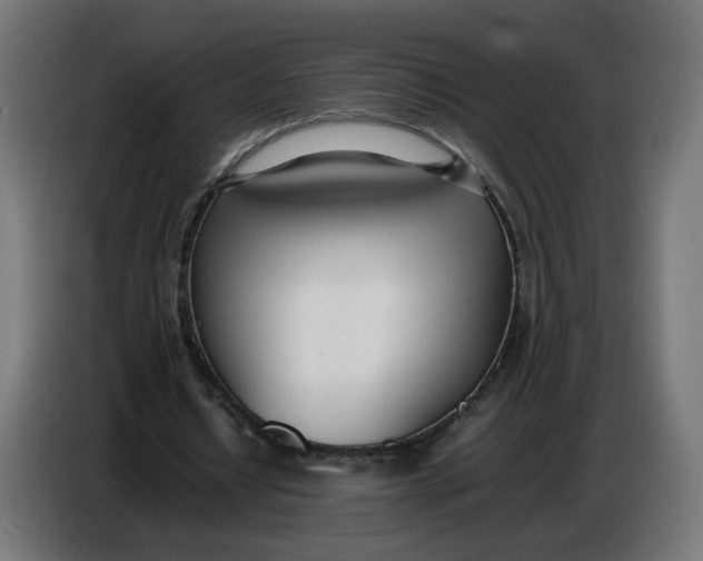 X0000086720434200705041331