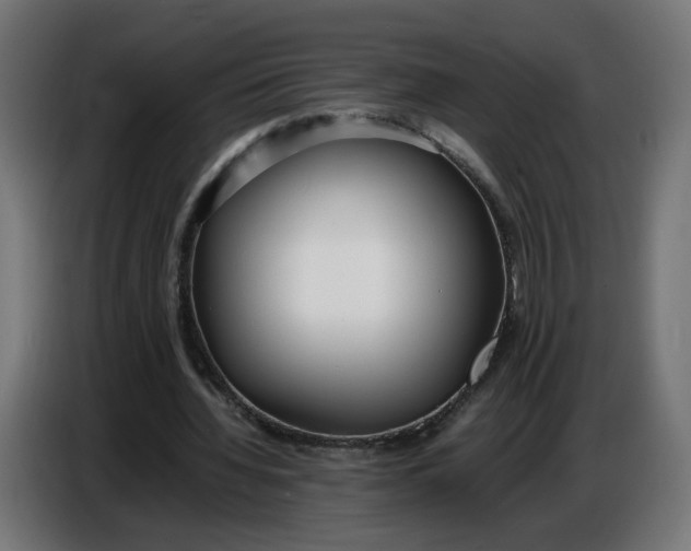 X0000086720436200705041331