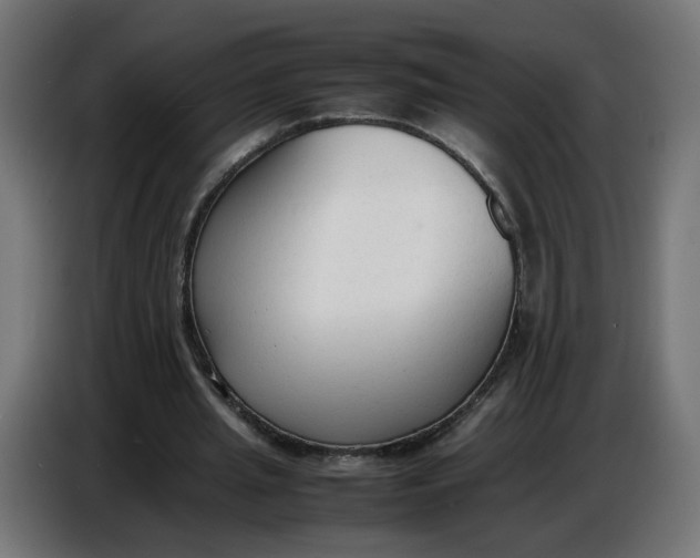 X0000086720437200705041331