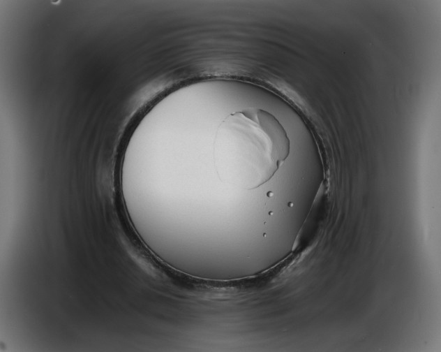 X0000086720438200705041331