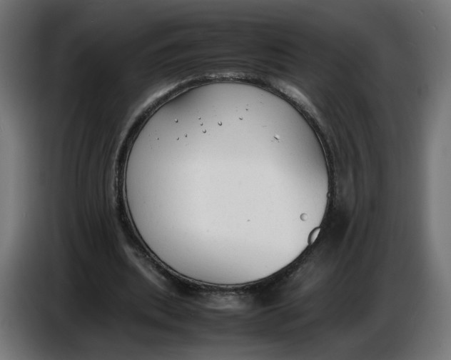 X0000086720439200705041331