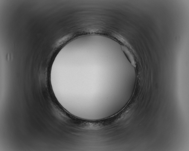X0000086720442200705041331
