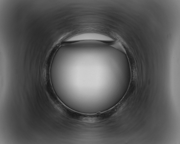 X0000086720444200705041331