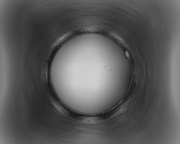 X0000086720446200705041331