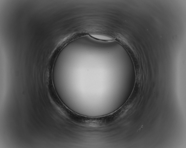 X0000086720448200705041331