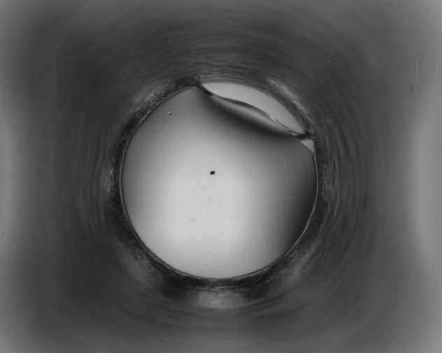 X0000086720451200705041331