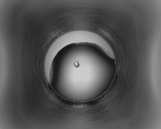 X0000086720452200705041331