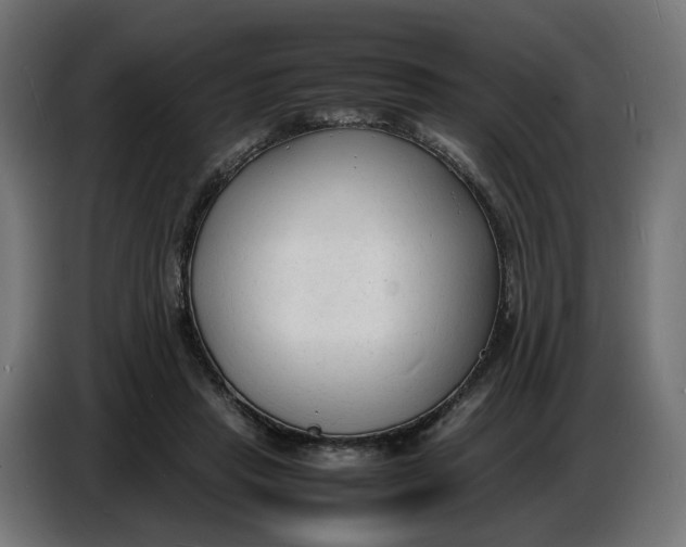 X0000086720453200705041331