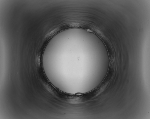 X0000086720454200705041331