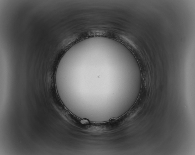 X0000086720455200705041331