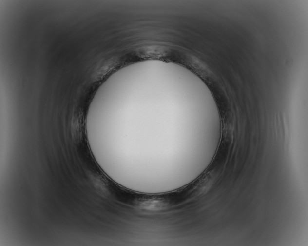 X0000086720460200705041331