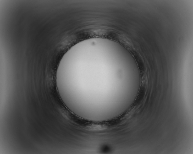 X0000086720464200705041331