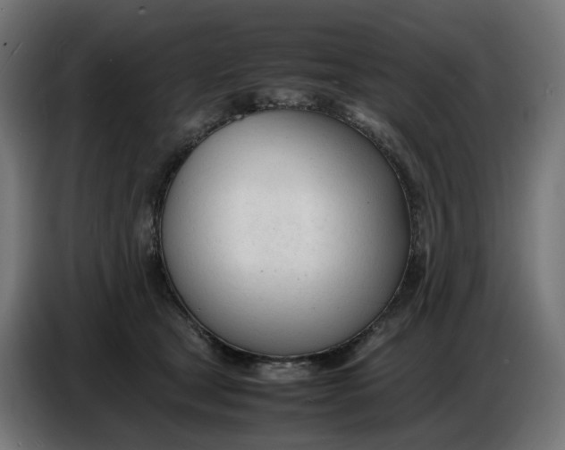 X0000086720465200705041331