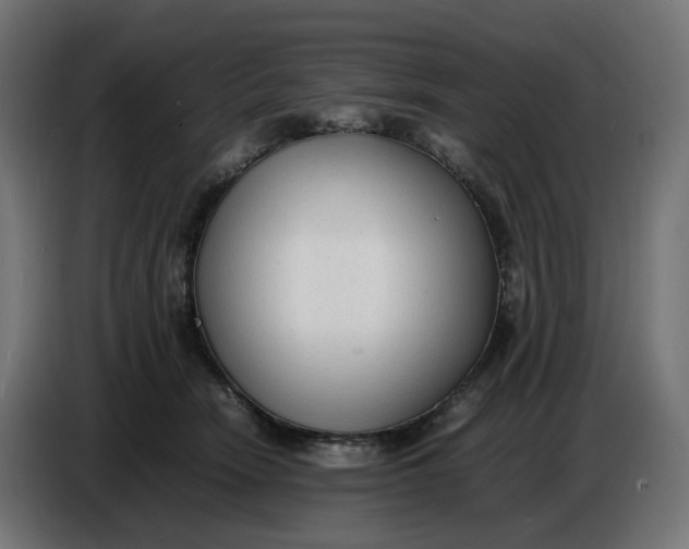 X0000086720466200705041331