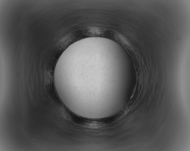 X0000086720467200705041331