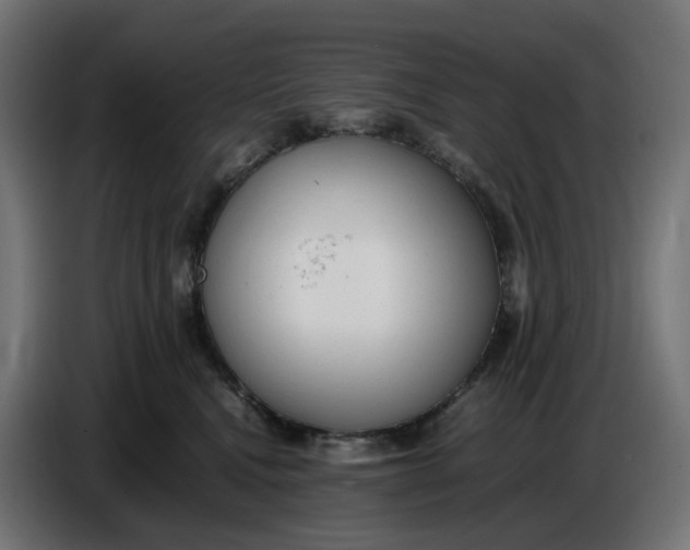 X0000086720472200705041331
