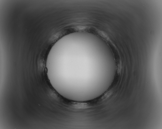 X0000086720476200705041331