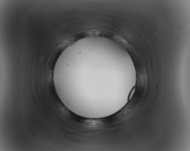 X0000086720477200705041331