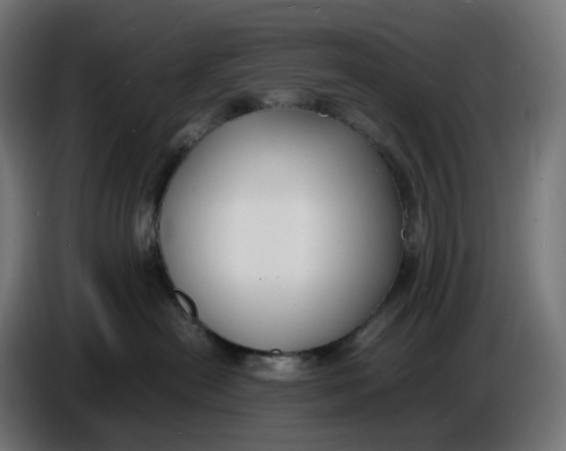 X0000086720478200705041331