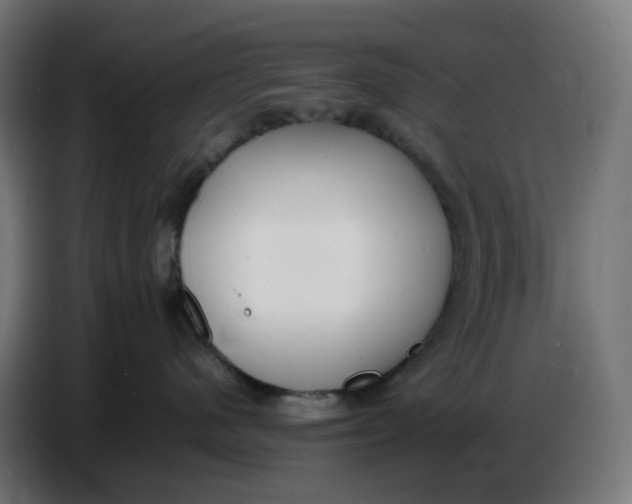 X0000086720480200705041331