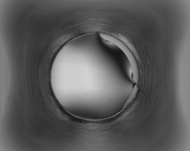 X0000086720481200705041331