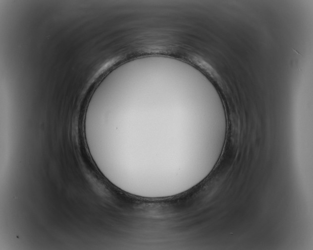X0000086720482200705041331