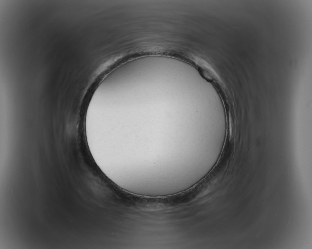 X0000086720483200705041331