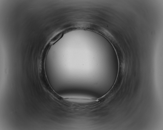 X0000086720484200705041331