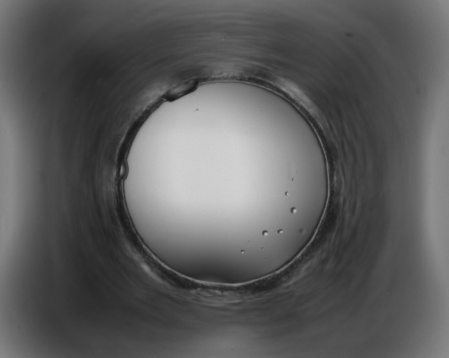 X0000086720485200705041330